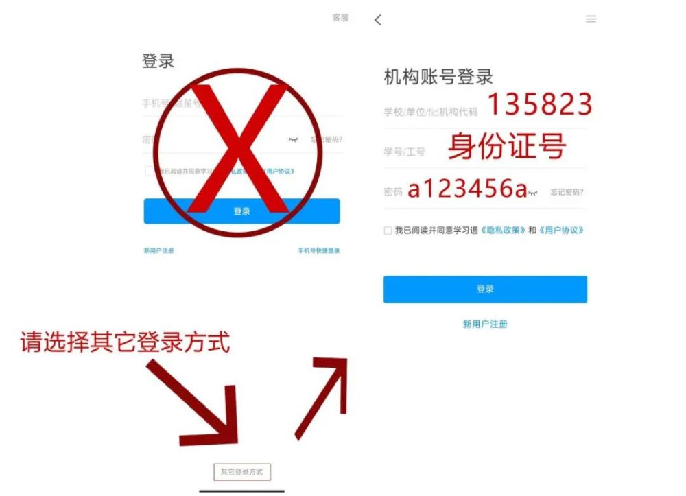 苹果11系统新闻通知iphone11消息通知在哪里-第2张图片-亚星游戏官网
