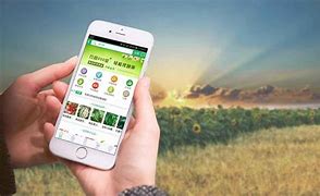 麦库种子搜索手机版souka搜咔搜索引擎-第2张图片-亚星游戏官网