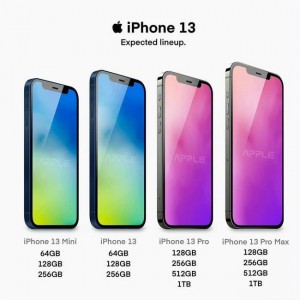 港版和澳版苹果13港版苹果13有什么弊端-第2张图片-亚星游戏官网