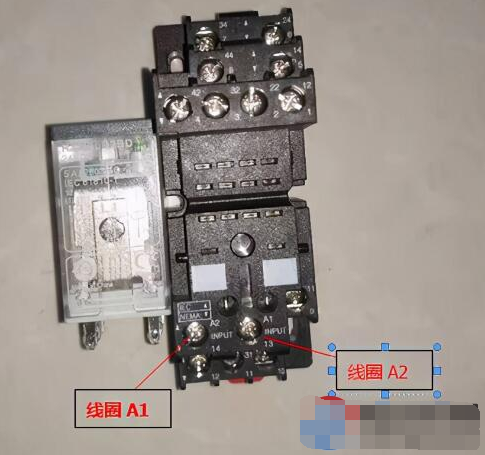 zzJi客户端wwwtzzxwjcom