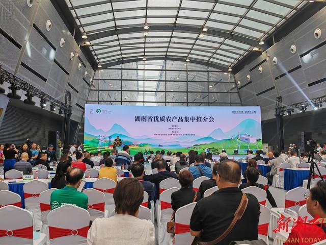 株洲资讯客户端今日株洲晚报在线看